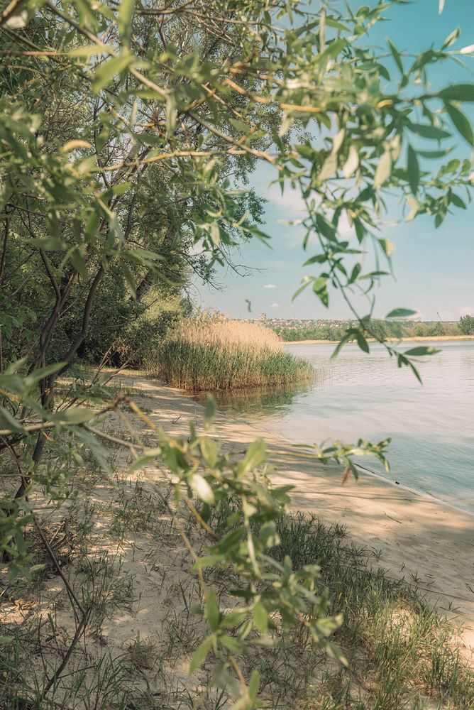Рыбалка на Дону