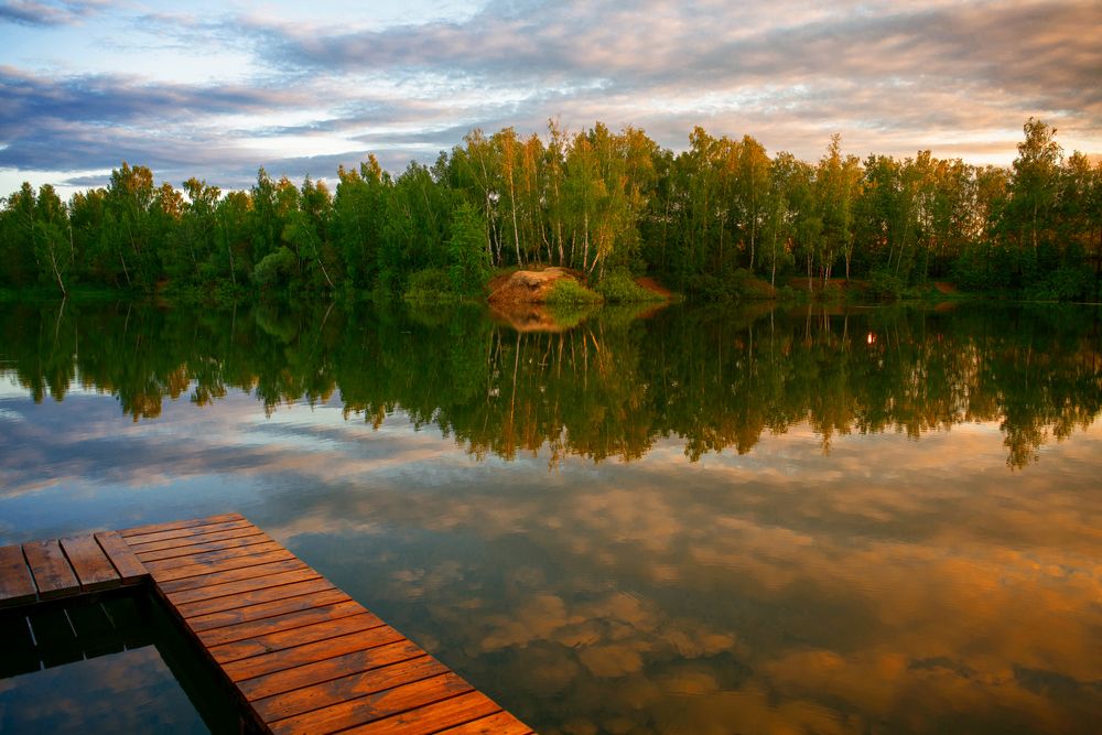 Photo 29948889