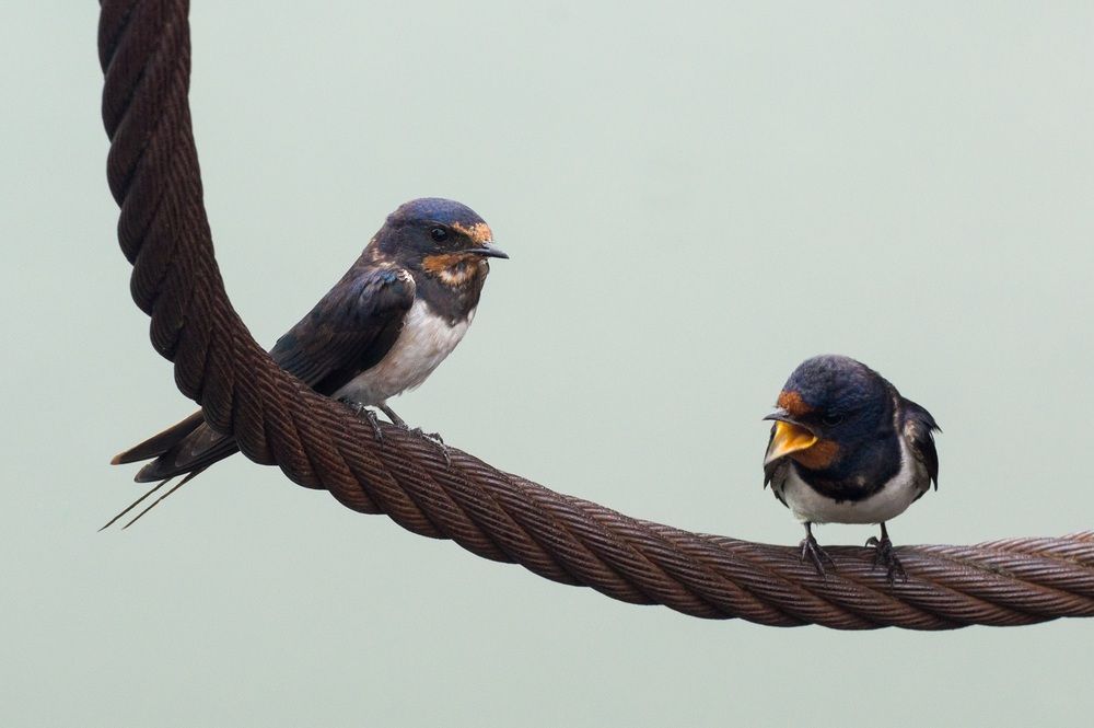 Photo 29949122