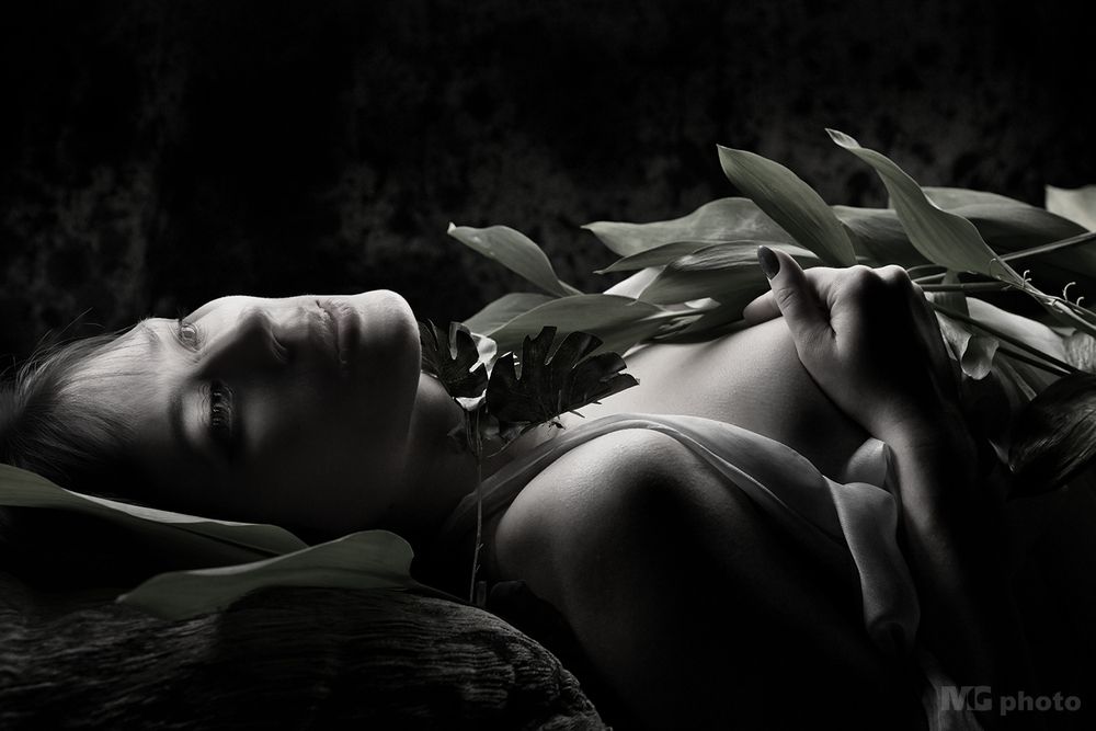 Lilies of the Noir Valley #01#01
