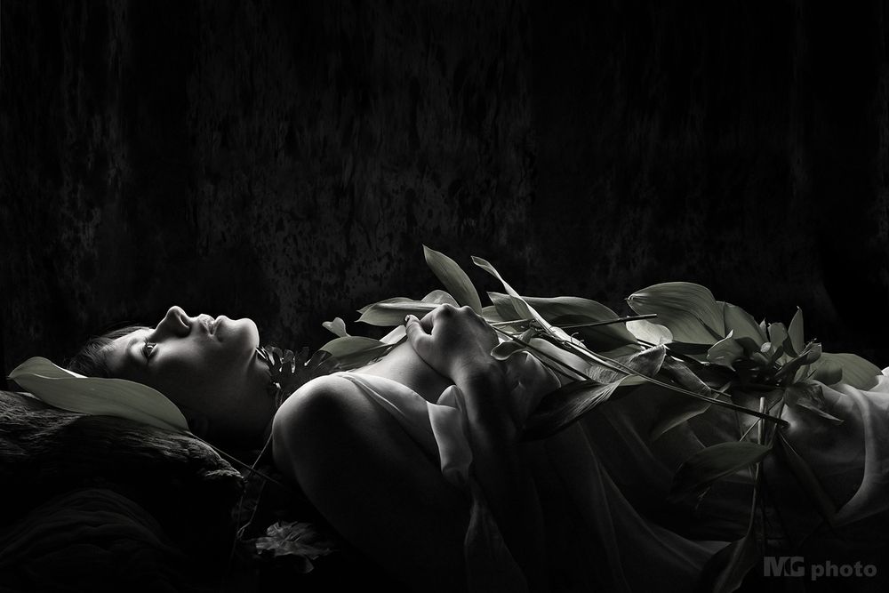 Lilies of the Noir Valley #01#02