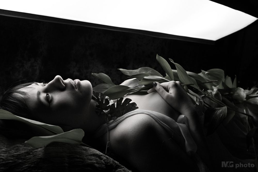 Lilies of the Noir Valley #01#03