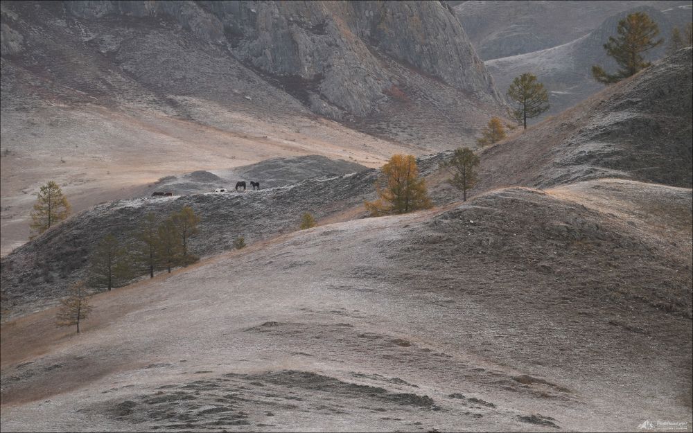 Осенняя меланхолия