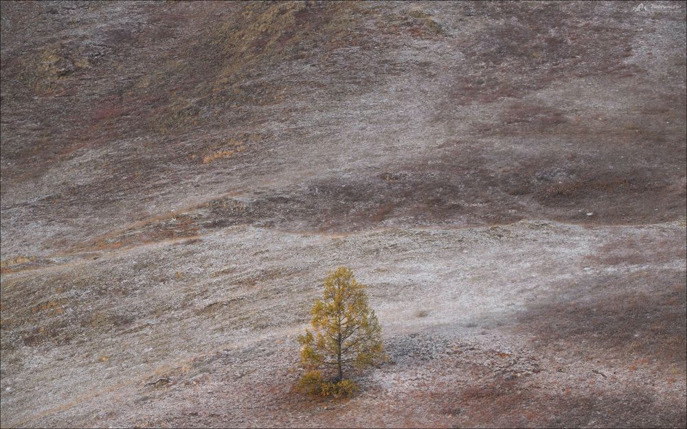 Осенняя меланхолия