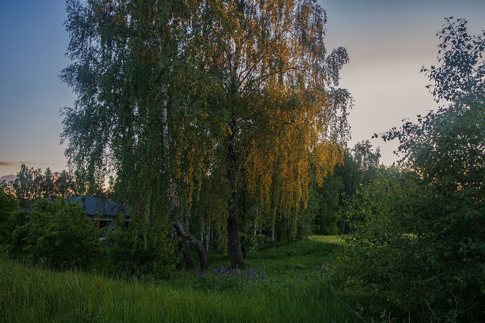 Последний весенний вечер в Беларуси