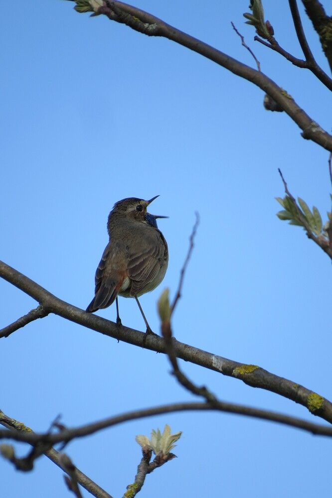 Photo 29949676