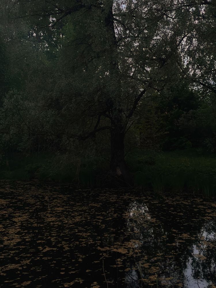 Природа