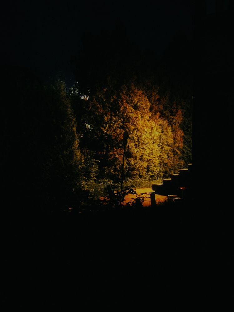 Природа