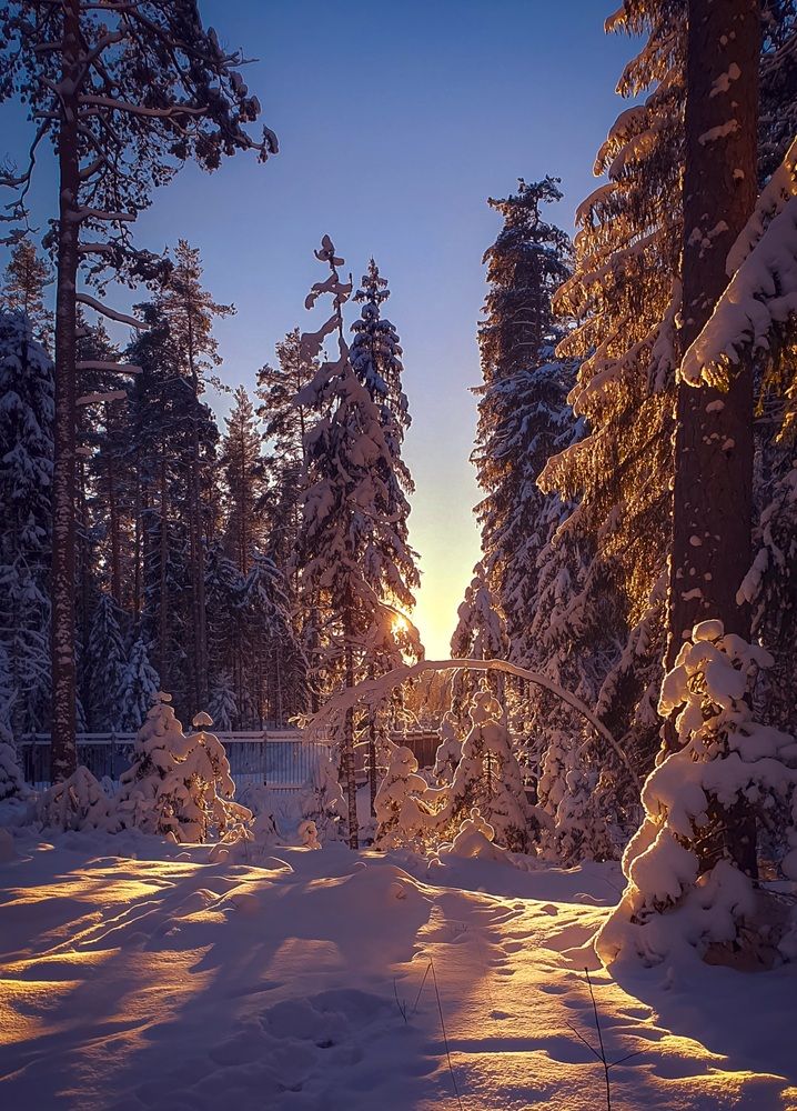Пейзаж. Город. Мобильное фото.