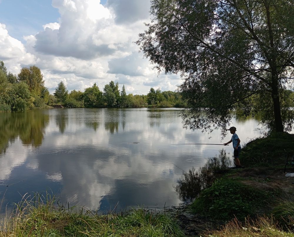 Photo 29950449