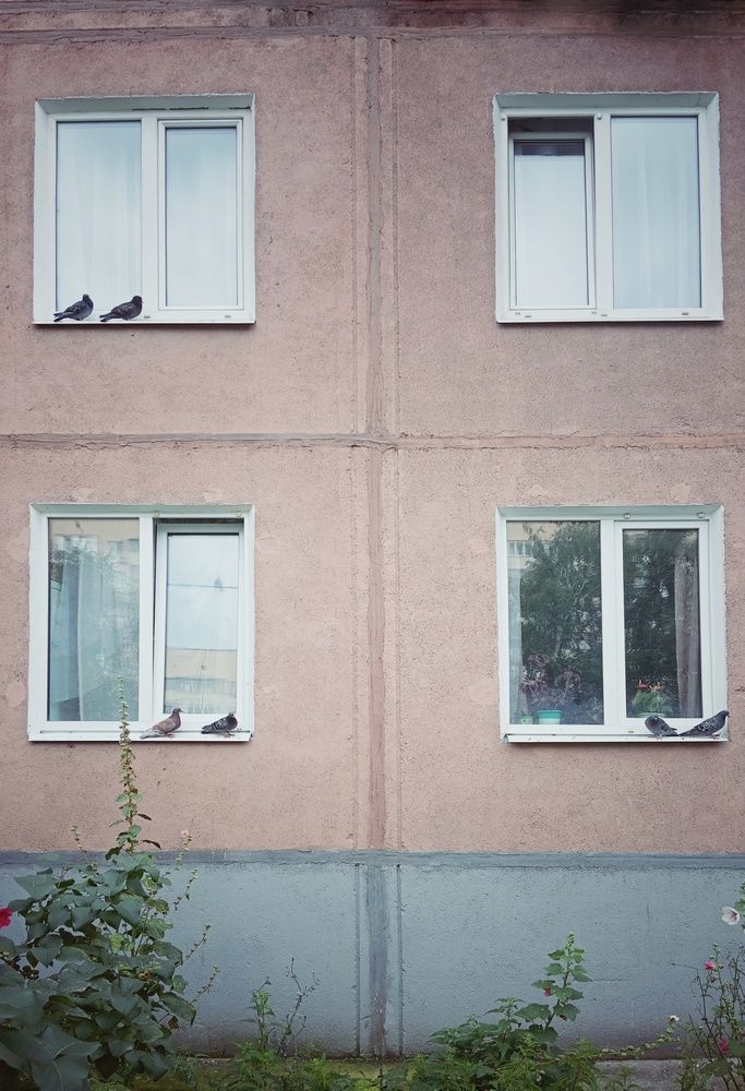 Photo 29950451