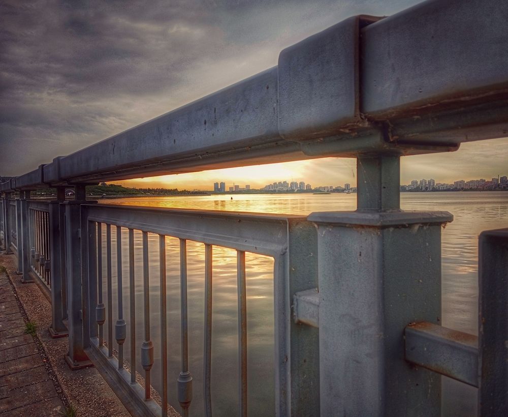 Photo 29950452