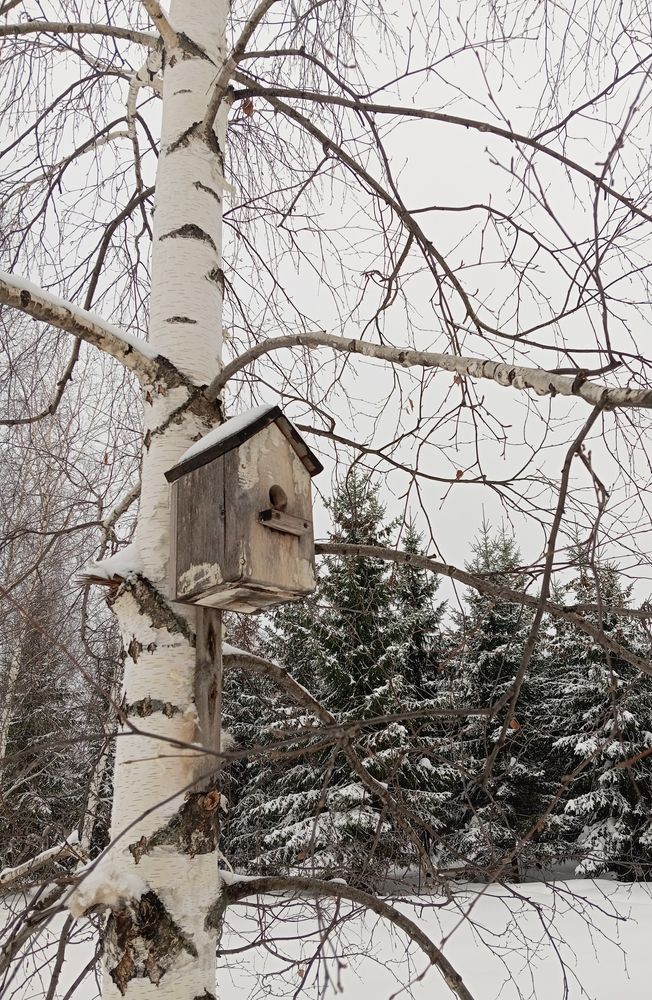 Photo 29950453