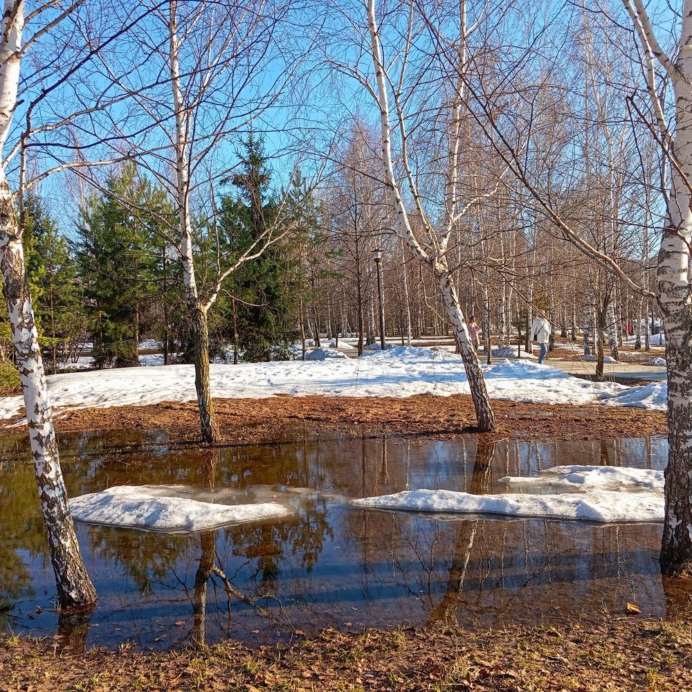 Photo 29950454
