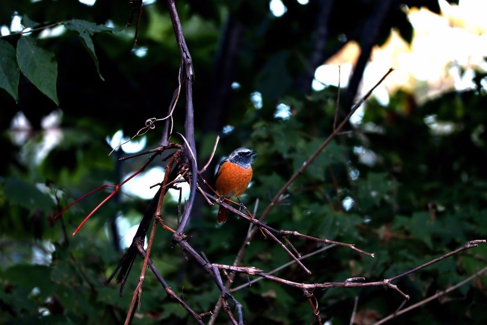 Photo 29950511