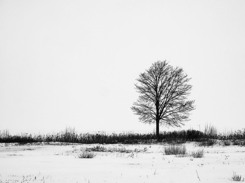 Photo 29950717
