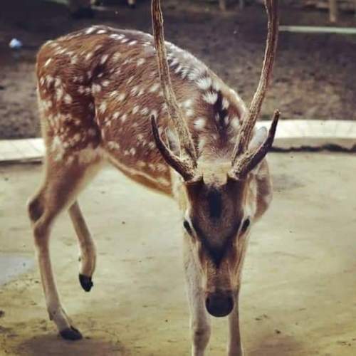 Photo 29950908