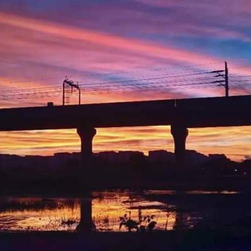 Photo 29950914