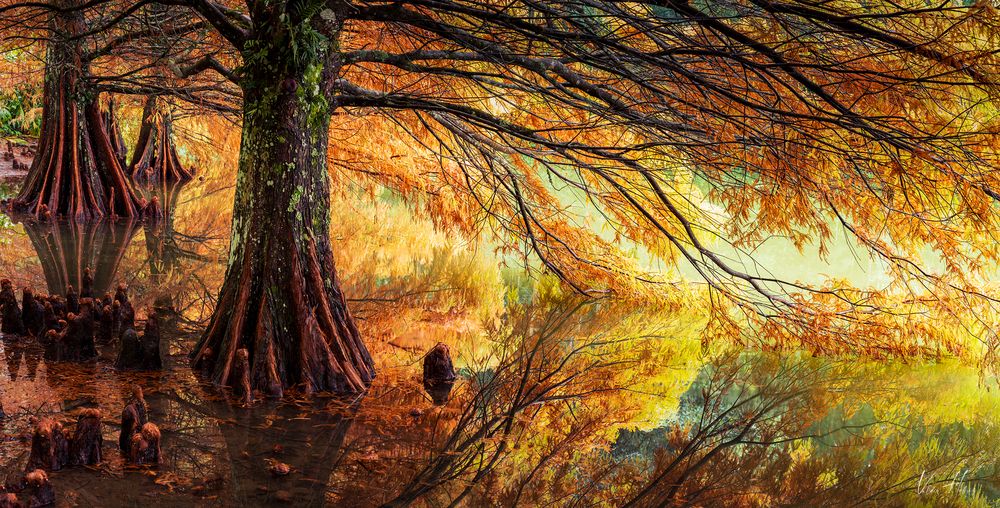 Autumn