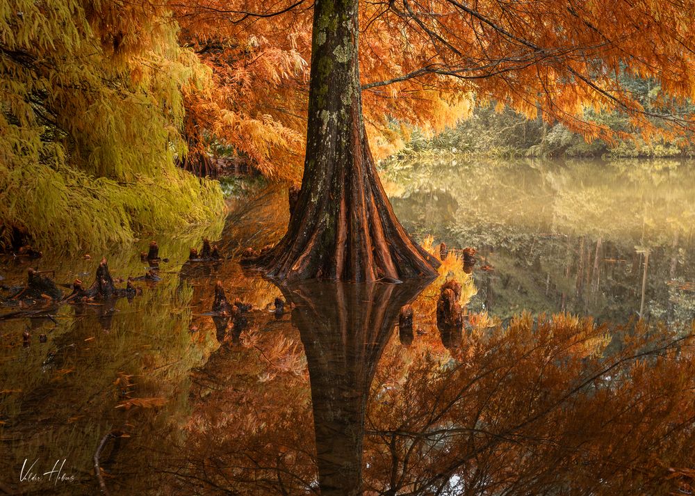Autumn