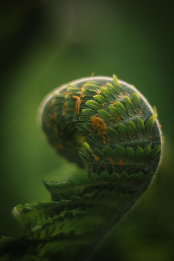 Photo 29951423