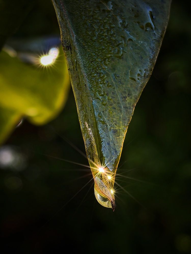 Photo 29951645