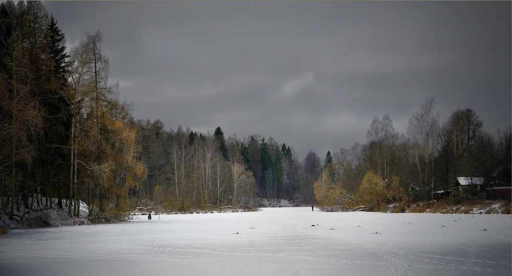 Photo 29951786