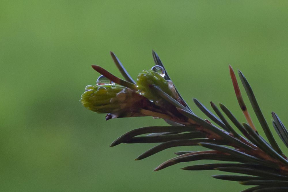 Photo 29951934