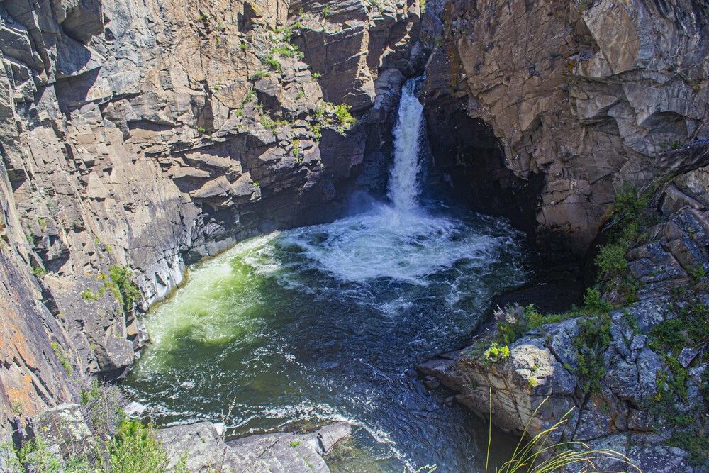 Photo 29951940