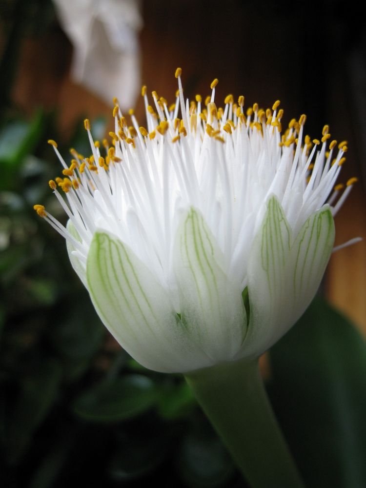 10 фото