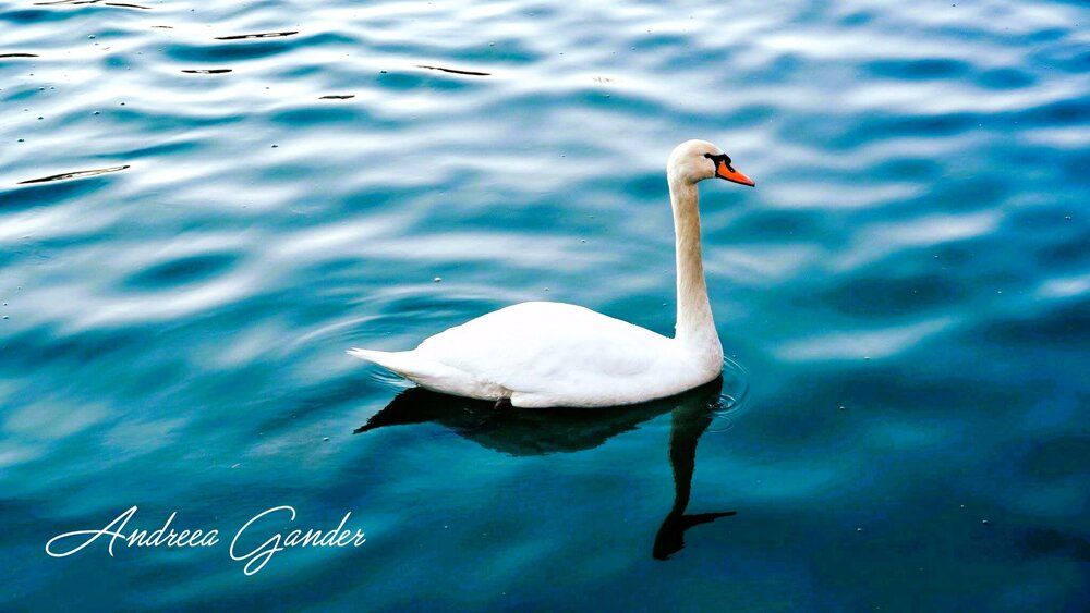Nature Spirit