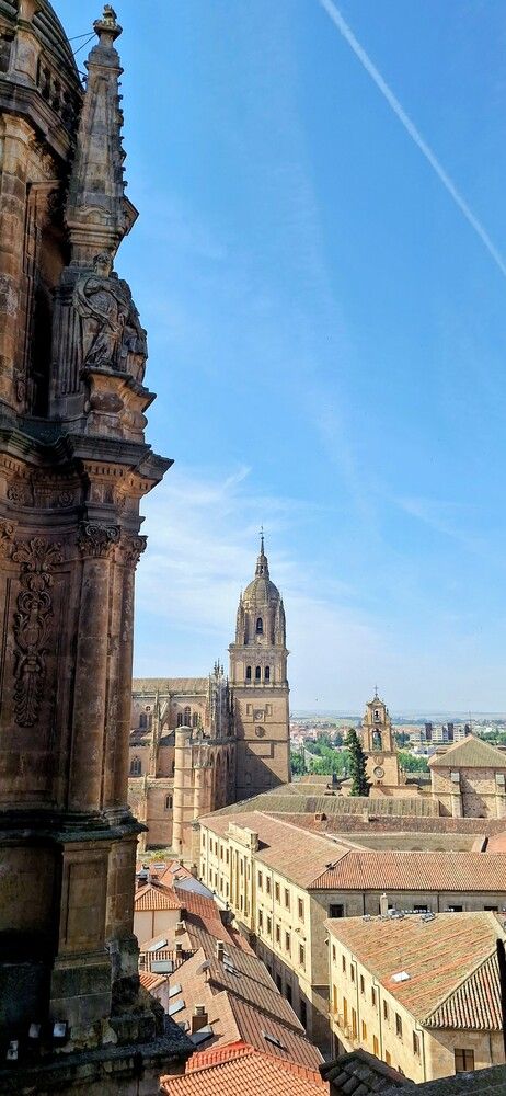 Architectural Perspectives & Cityscapes