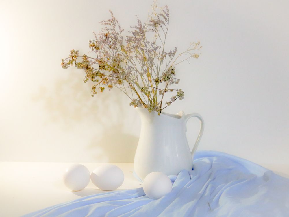 Photography of flowers and still life