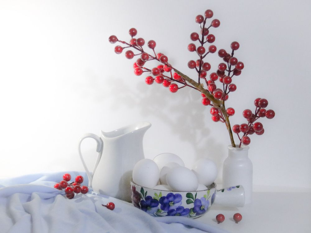 Photography of flowers and still life