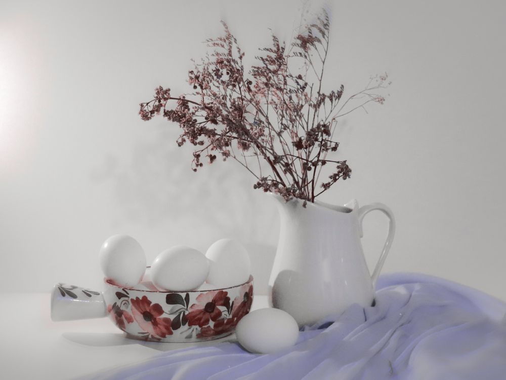 Photography of flowers and still life