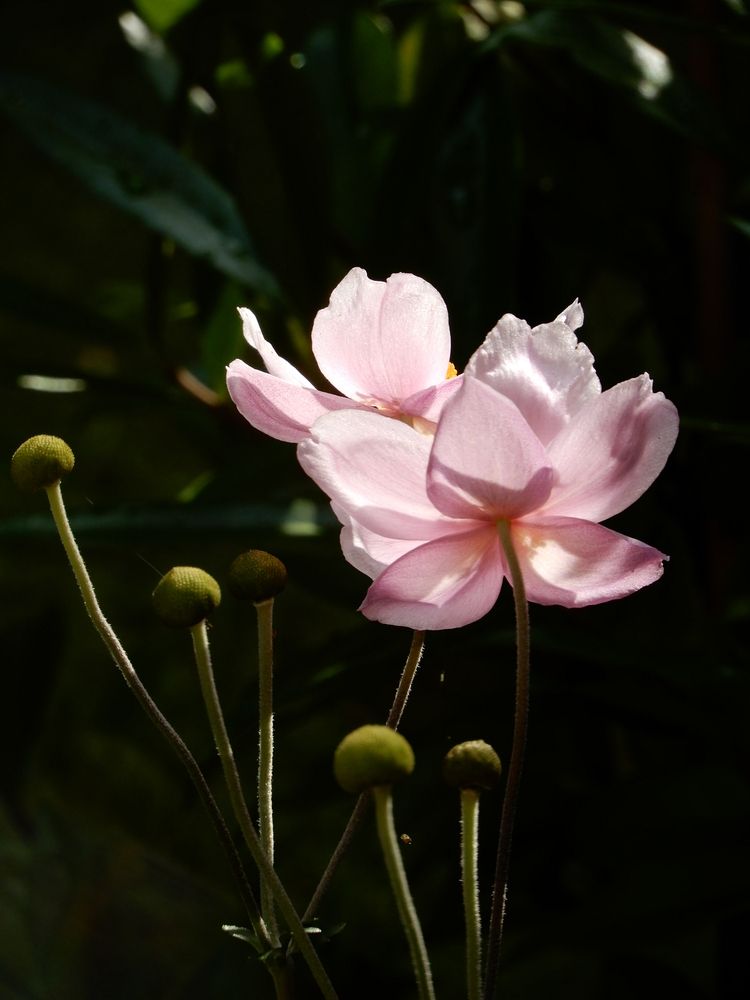 Photo 29952381