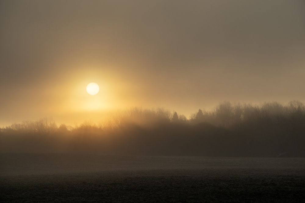 Photo 29952386