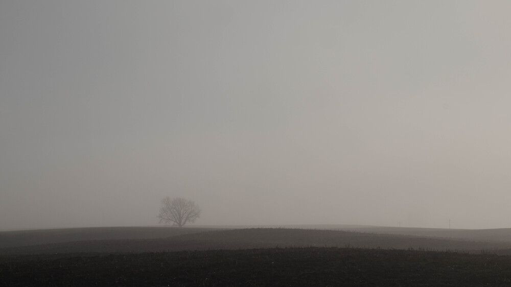 Photo 29952387