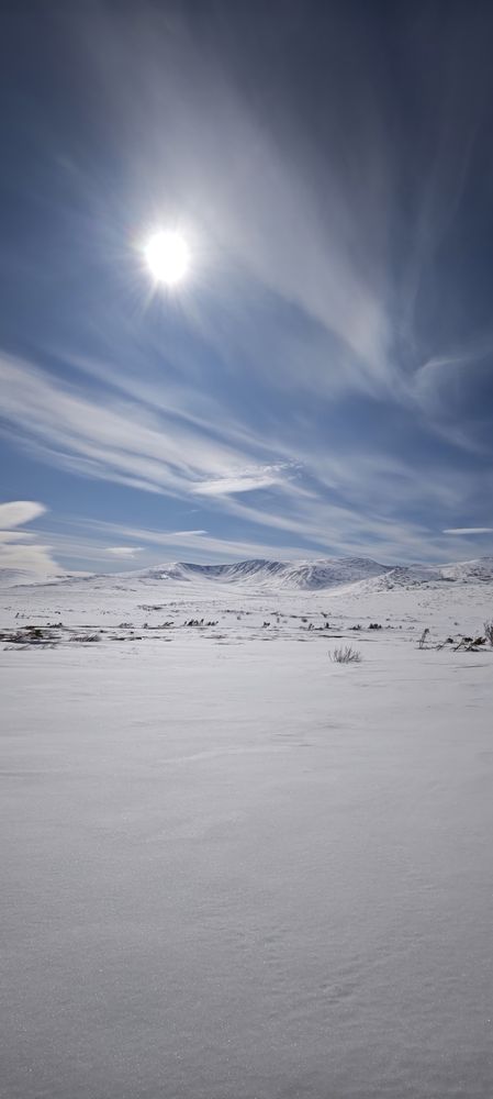 Природа животные