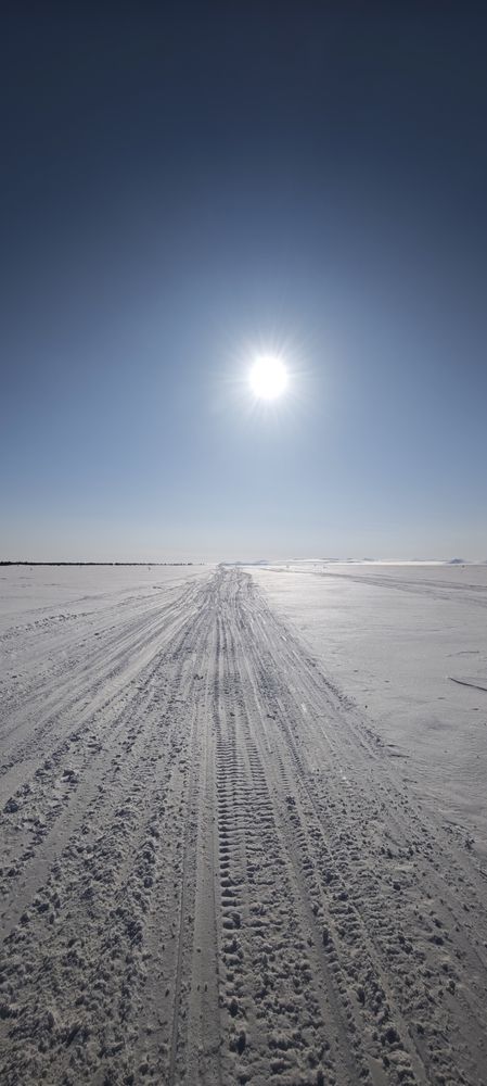 Природа животные