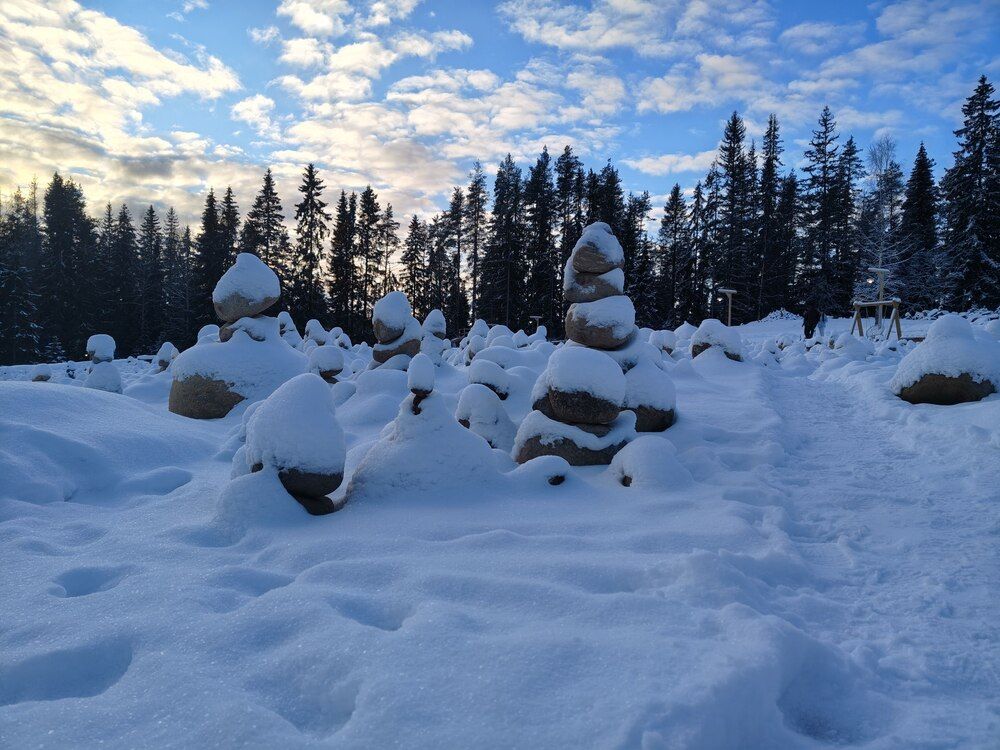 Солянка