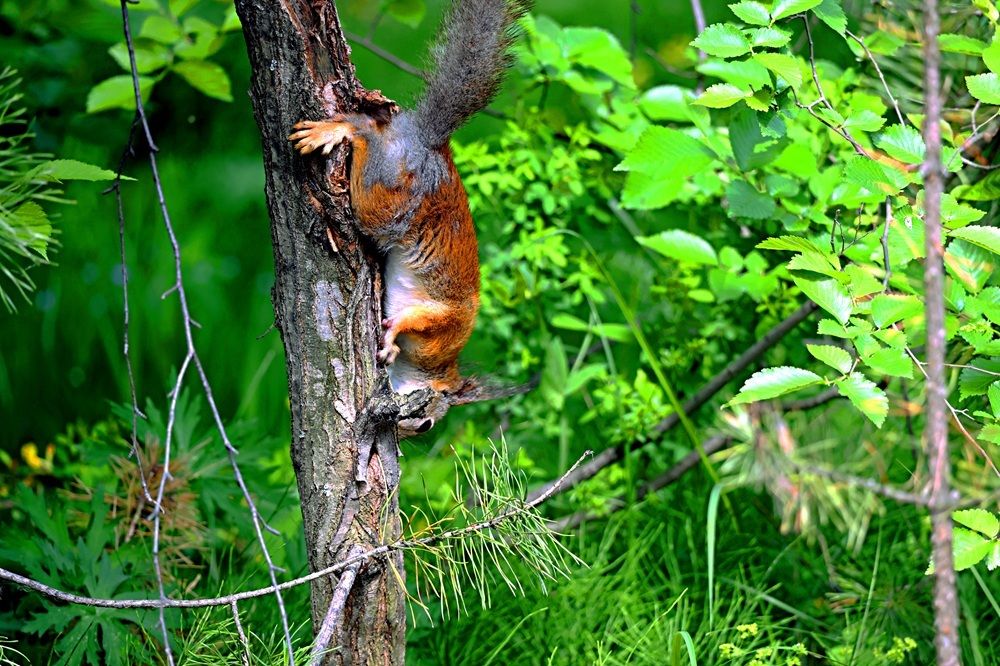 Photo 29952740