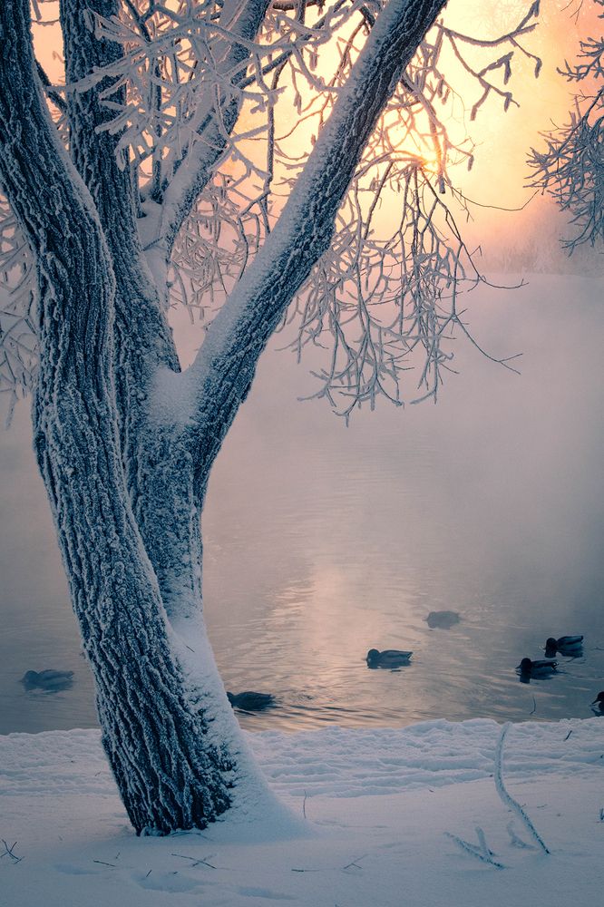 Photo 29952816