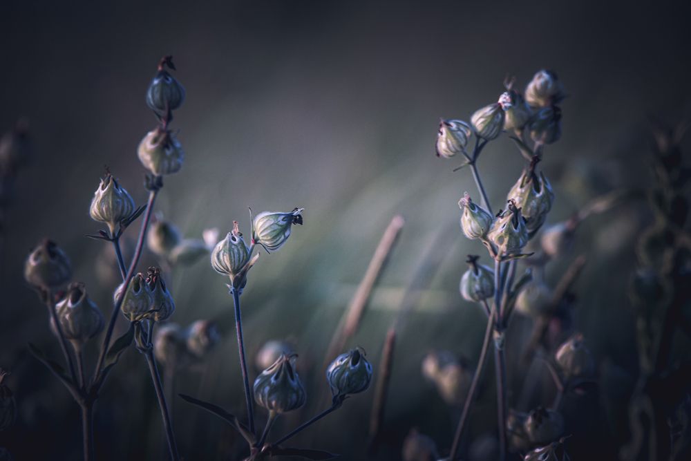 Photo 29953282