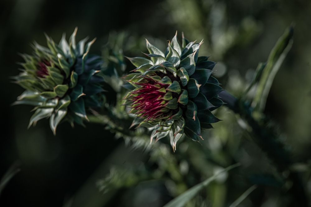 Photo 29953285