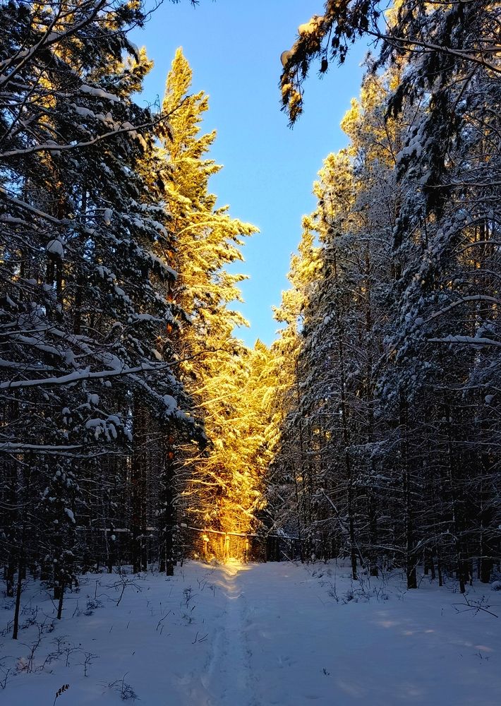 Photo 29953633