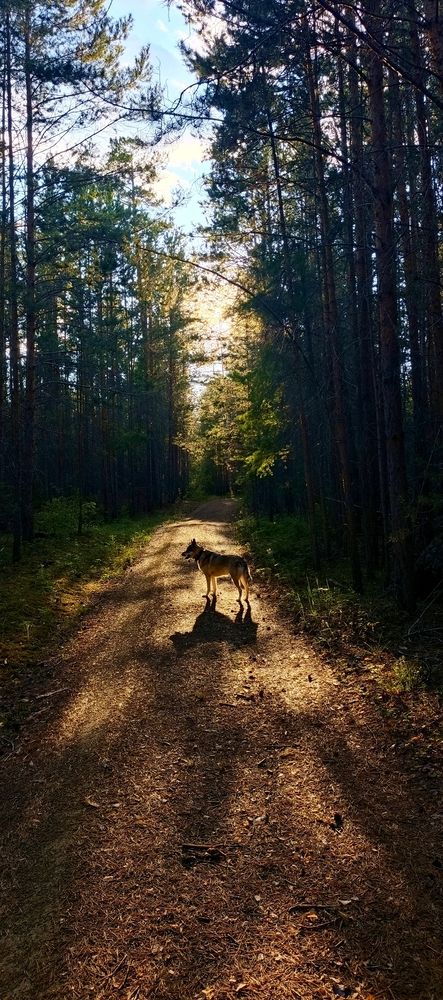 Photo 29953635