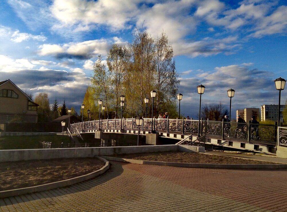 Photo 29953679
