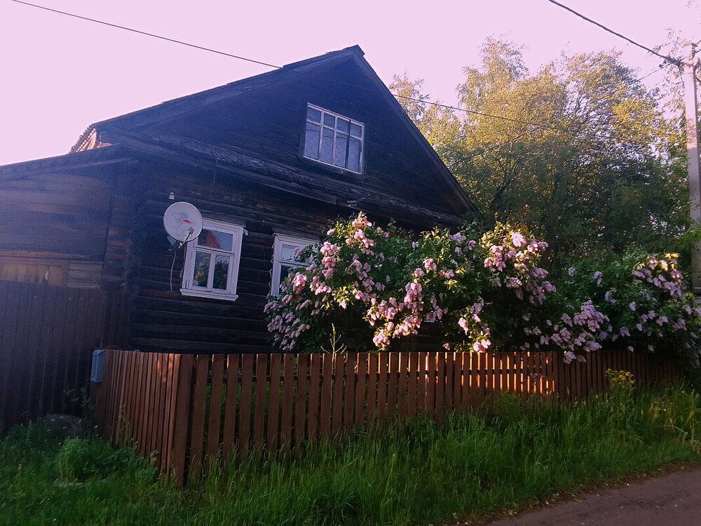 Photo 29953681
