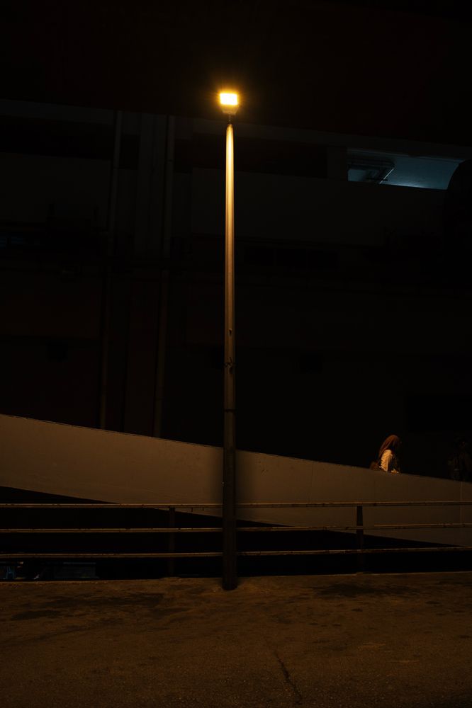 A Symphony of Lights